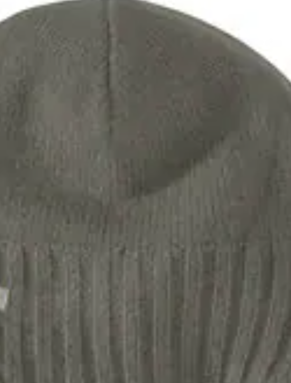 Carhartt winter hat with ear flaps online